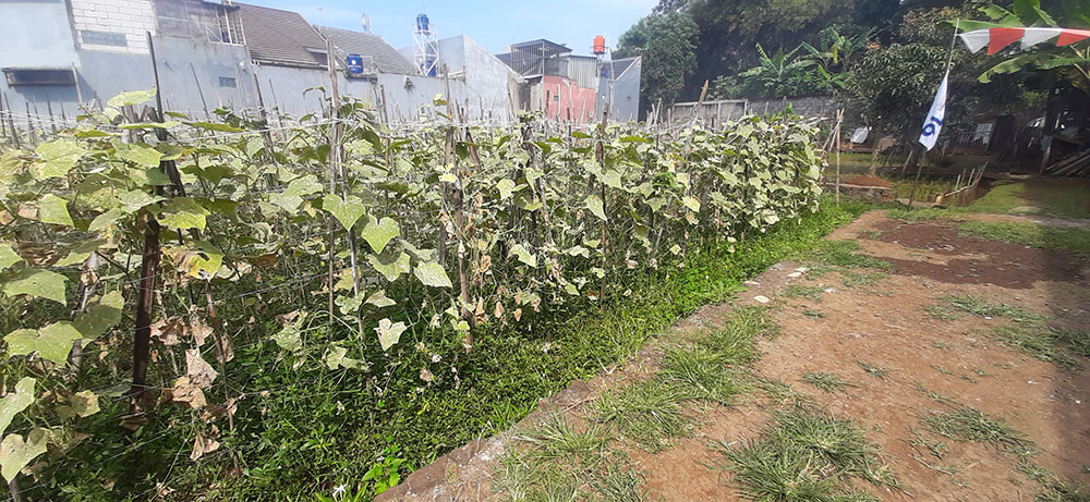 Kavling 135 m2 Muka 9 Meter SHM di Cisaranten Kulon Arcamanik Bd