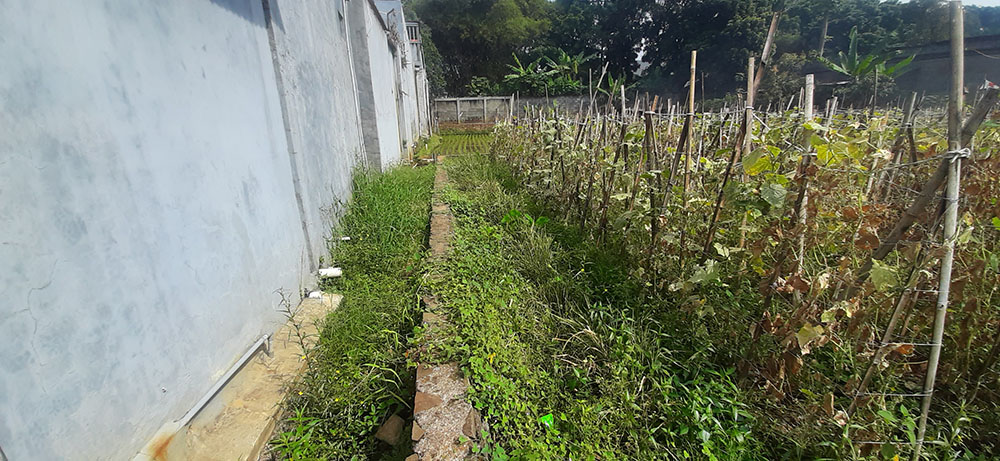 Kavling 135 m2 Muka 9 Meter SHM di Cisaranten Kulon Arcamanik Bd