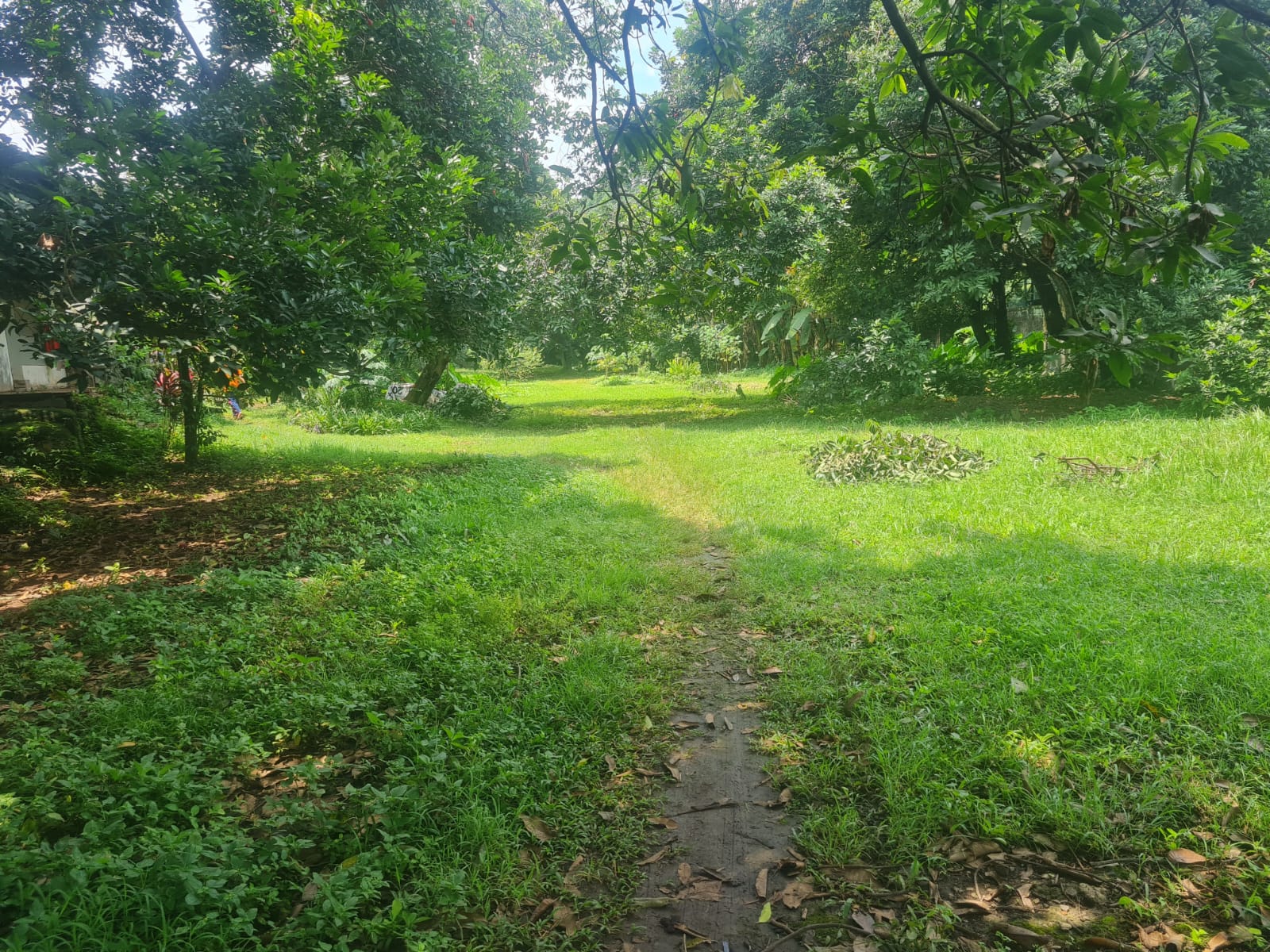 Dijual tanah di Jalan Transyogi, Nagrak, Gunung Putri, Bogor