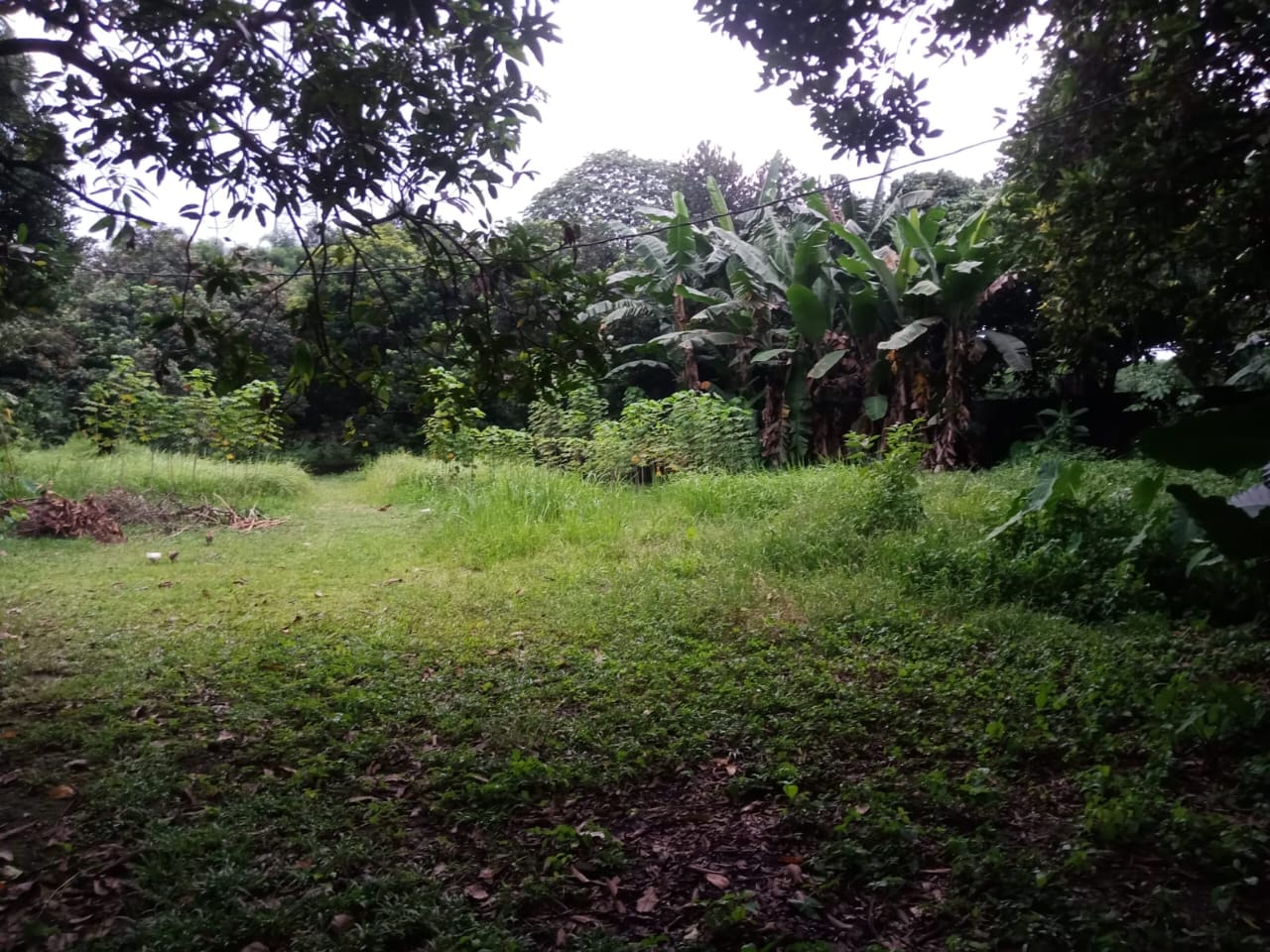 Dijual tanah di Jalan Transyogi, Nagrak, Gunung Putri, Bogor