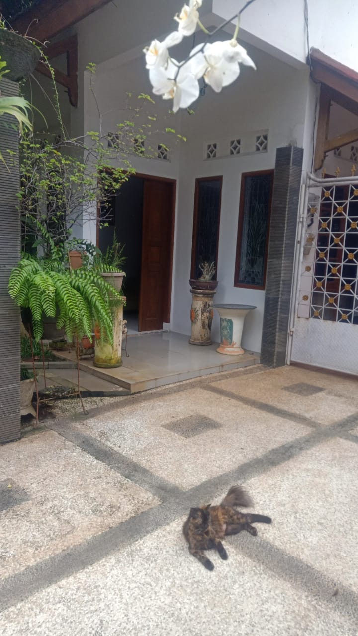 Disewakan rumah town house plus swiming pool Cilandak Barat