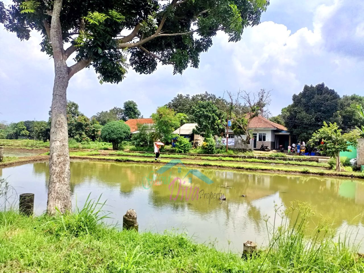 JUAL MURAH TANAH EMPANG PINGGIR JALAN Kp. BABAKAN SABRANG CISEEN