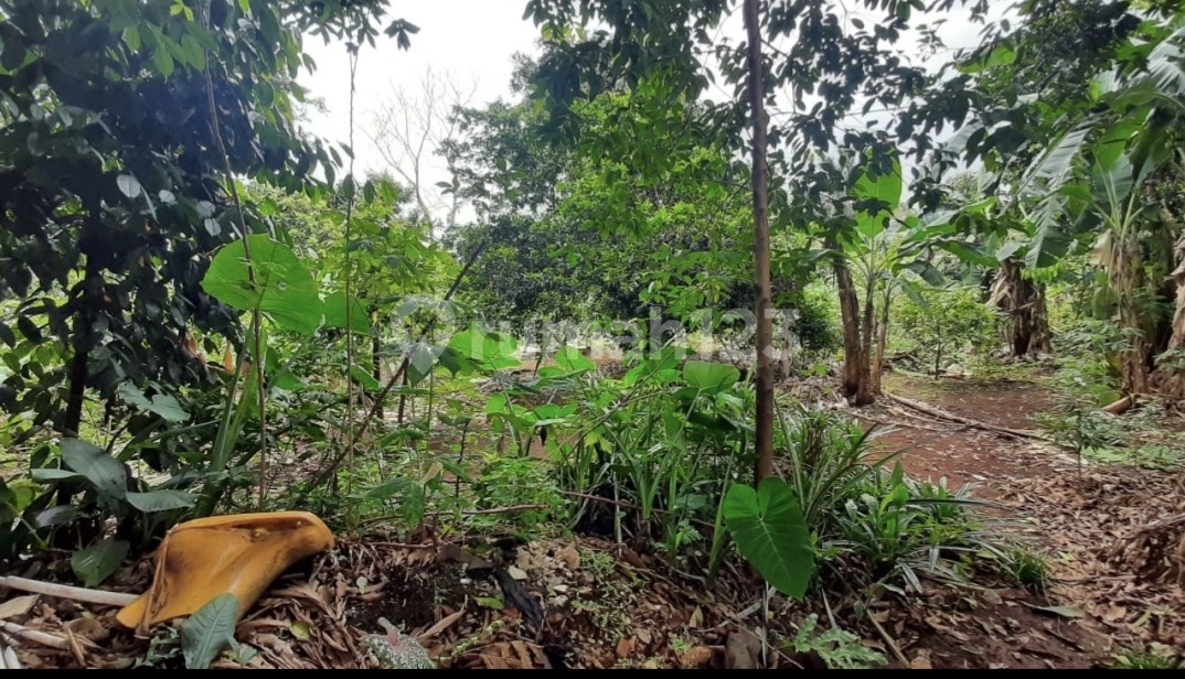 Tanah di jln.h.saleh pamulang