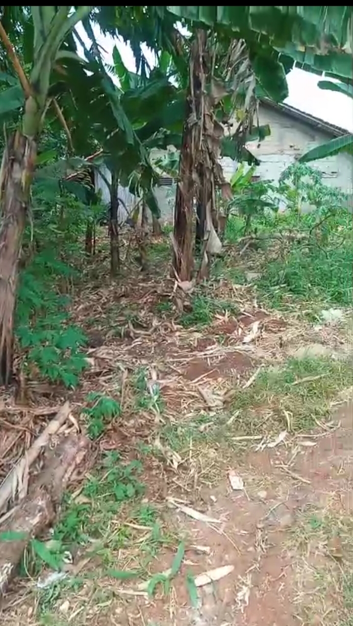 Tanah 210 m2 akses motor jual murah Kalibaru Depok