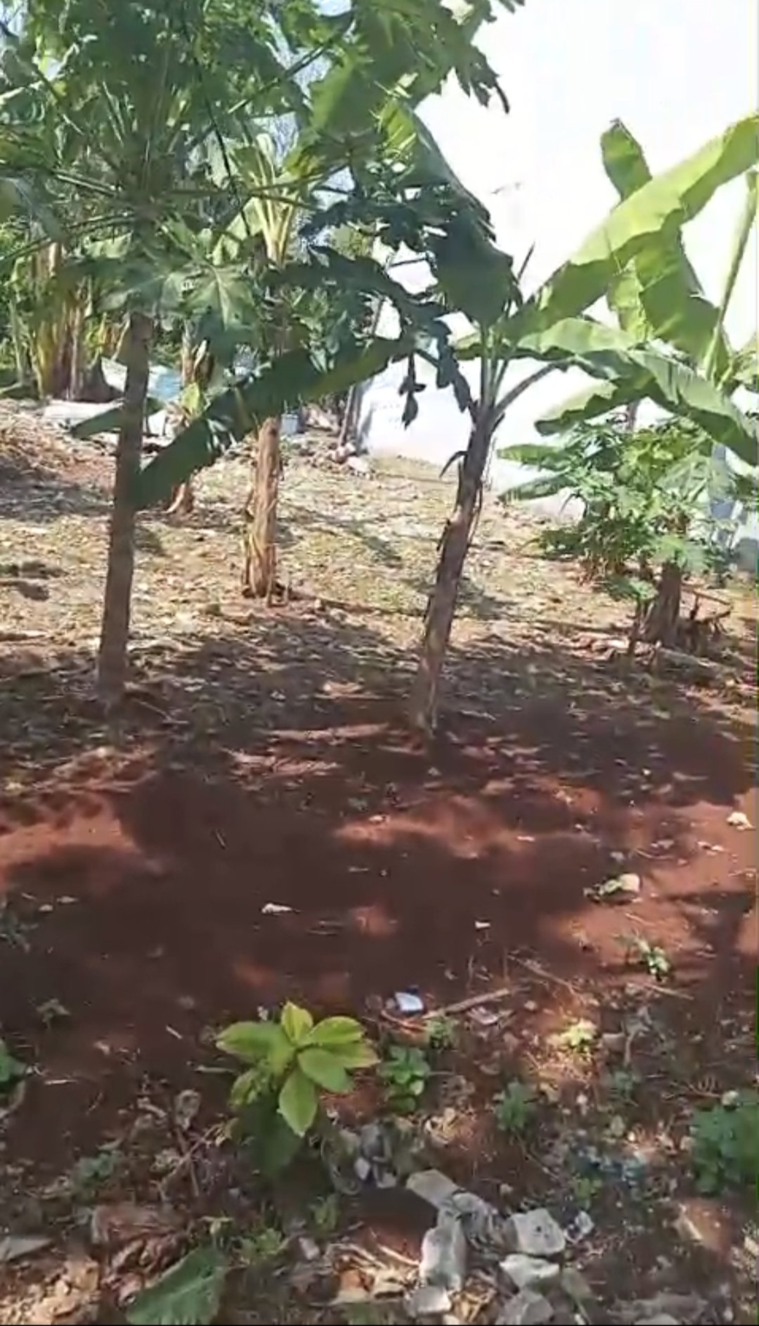 Dijual Murah Tanah strategis pinggir jalan raya Juanda Depok