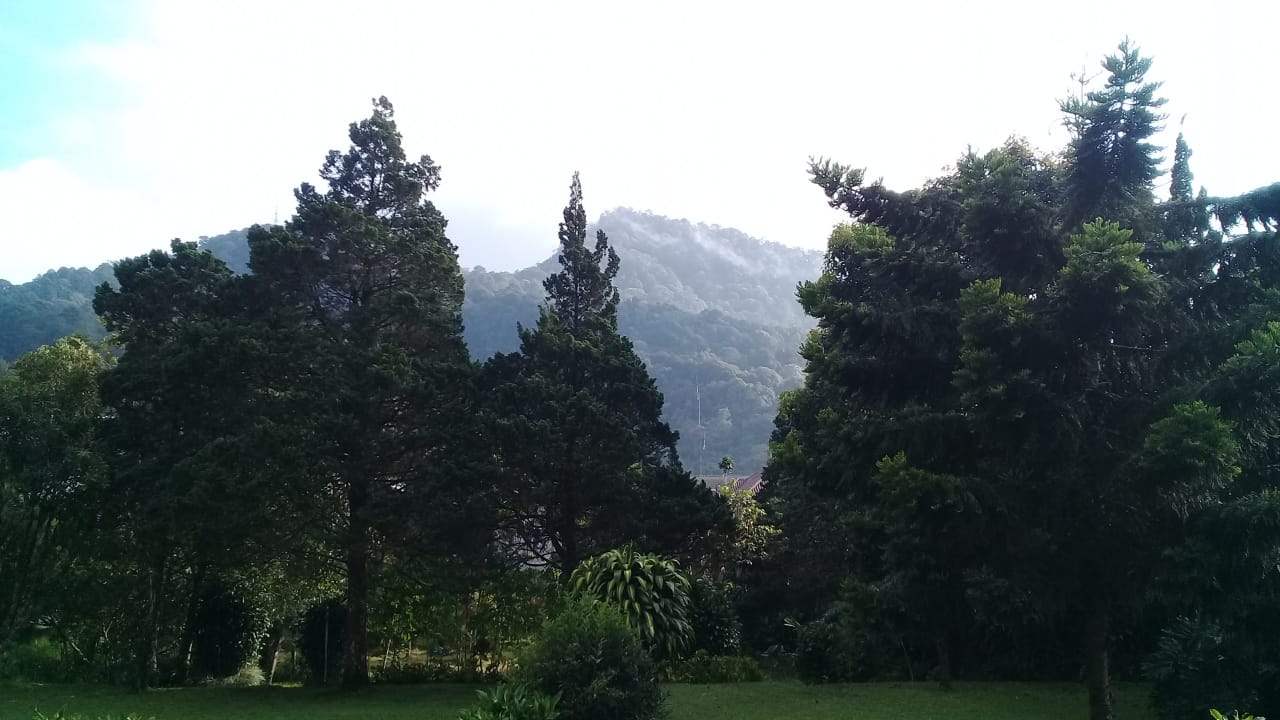 Dijual Kavling di Jl.Raya Puncak-Gadog,Ciloto,Puncak,Jawa Barat