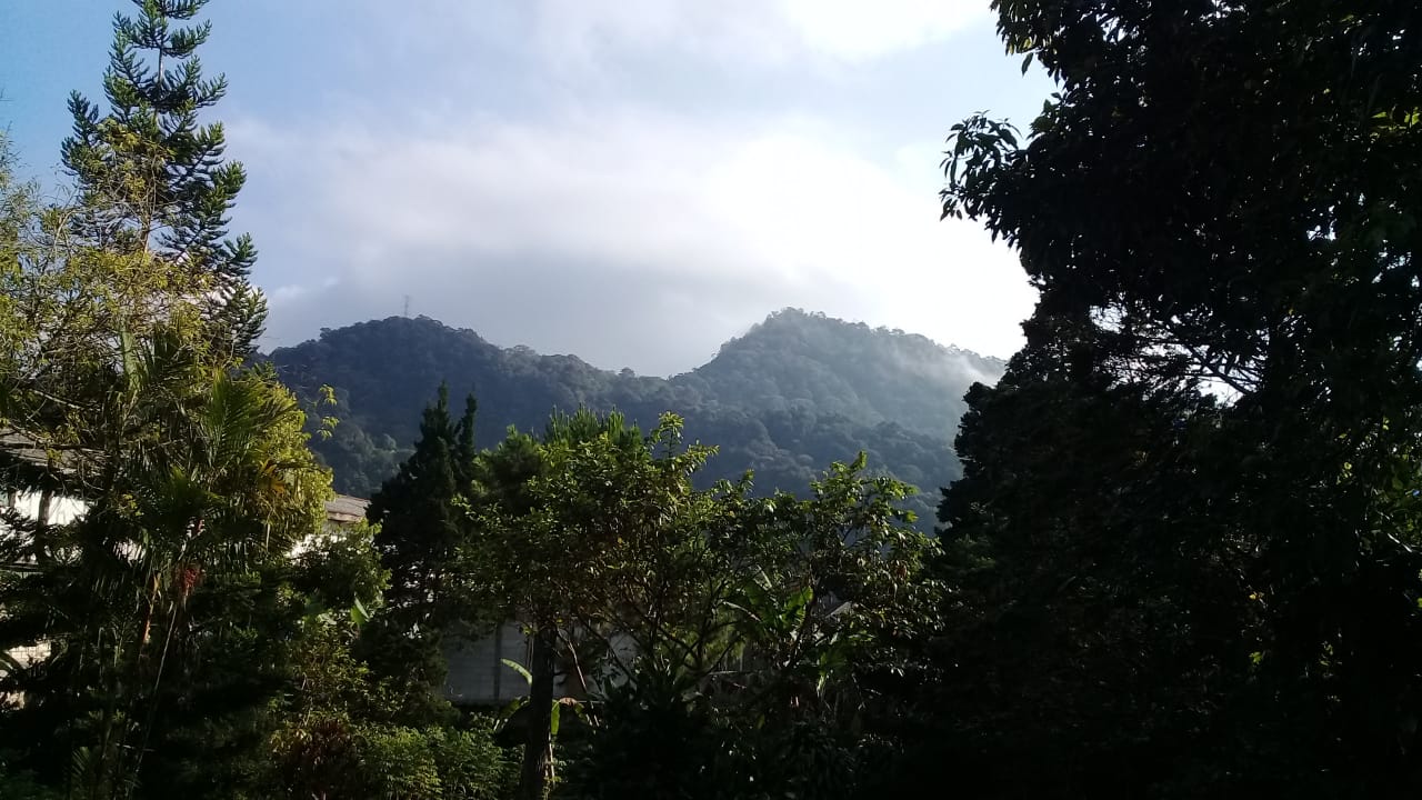 Dijual Kavling di Jl.Raya Puncak-Gadog,Ciloto,Puncak,Jawa Barat