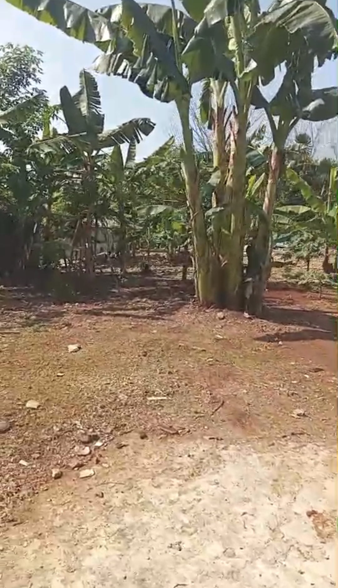 Dijual Murah Tanah strategis pinggir jalan raya Juanda Depok