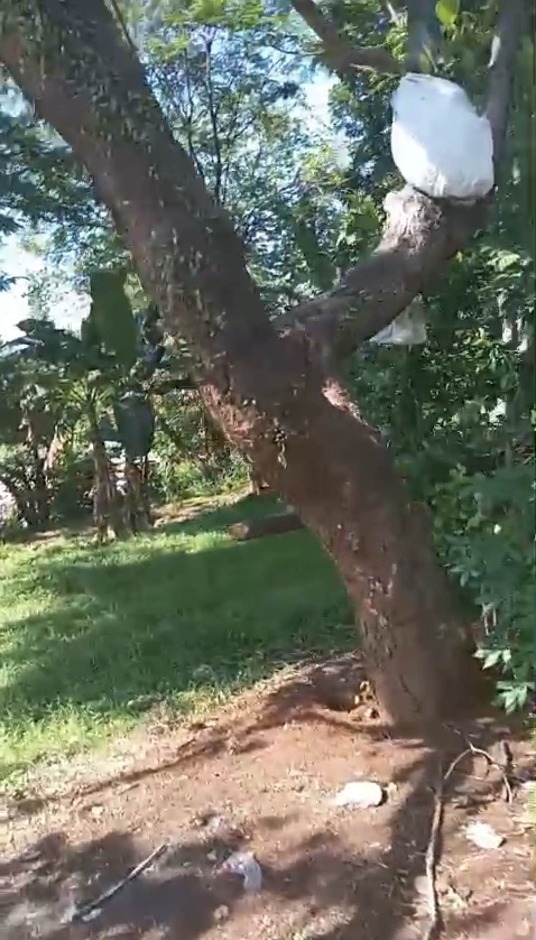 Dijual Murah Tanah strategis pinggir jalan raya Juanda Depok