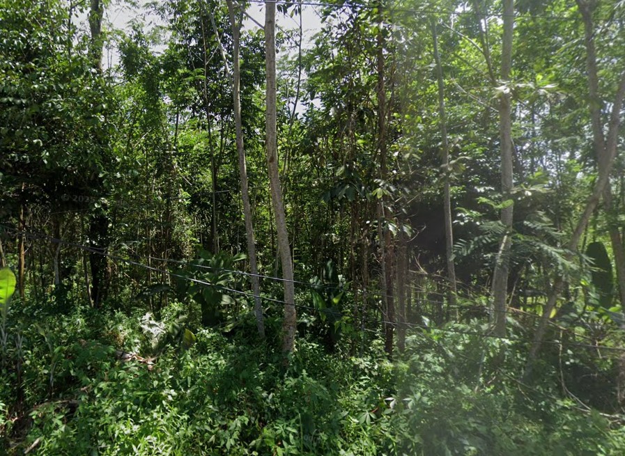 DIJUAL TANAH KEBUN DI DAERAH BOJONGMENTENG LEUWIDAMAR LEBAK