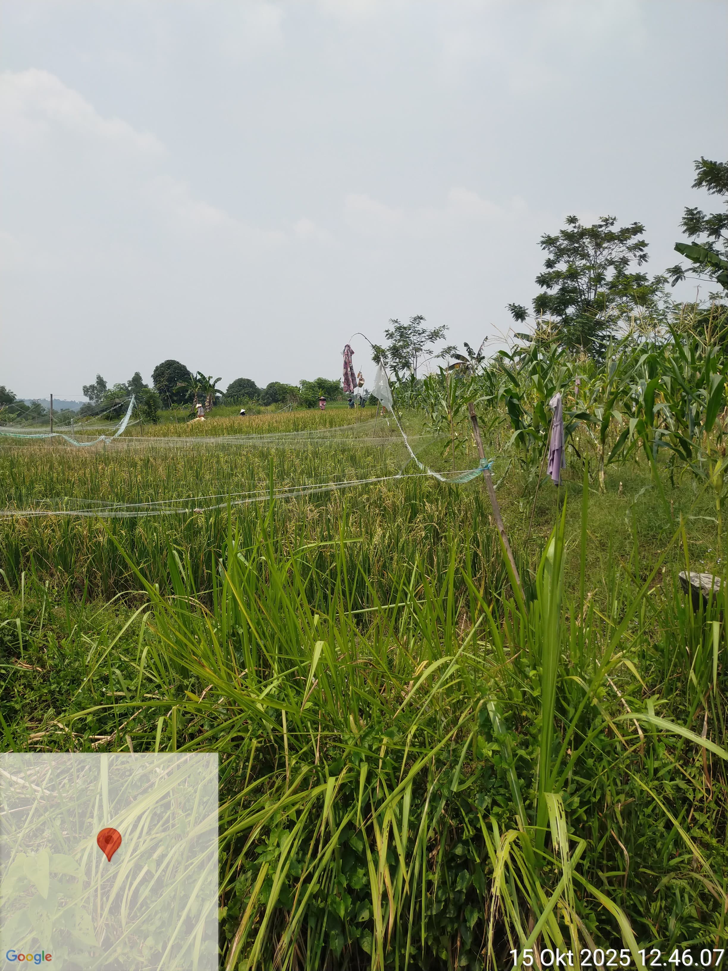 Dijual Tanah didaerah berkembang