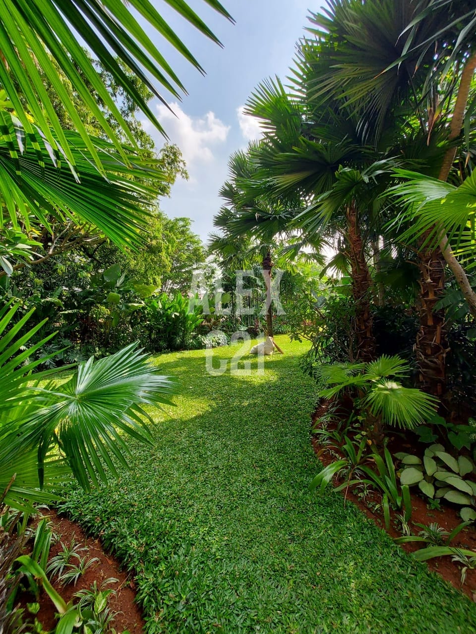 For sale Rumah mewah Desain modern tropis Area Kuningan, Jakarta