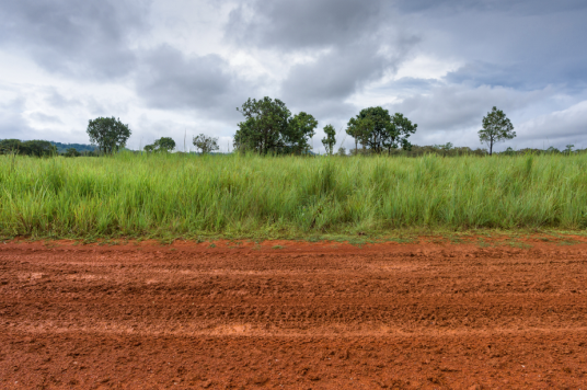 tanah dijual kalikepiting surabaya