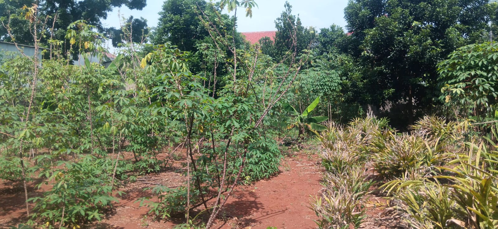 Jual tanah di Kavling DDN 46, Hajamukti, Cimanggis, Kota Depok