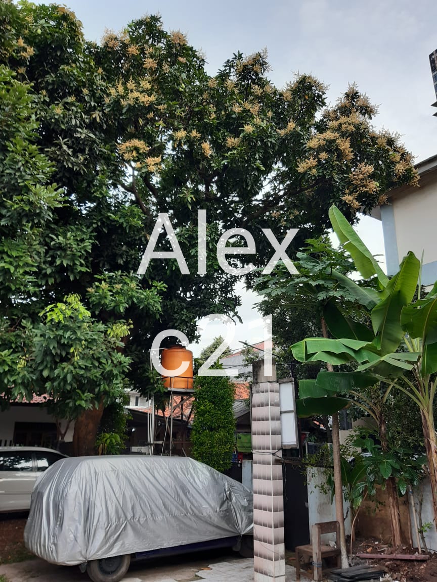 Jual tanah di Cilandak, Jakarta Selatan