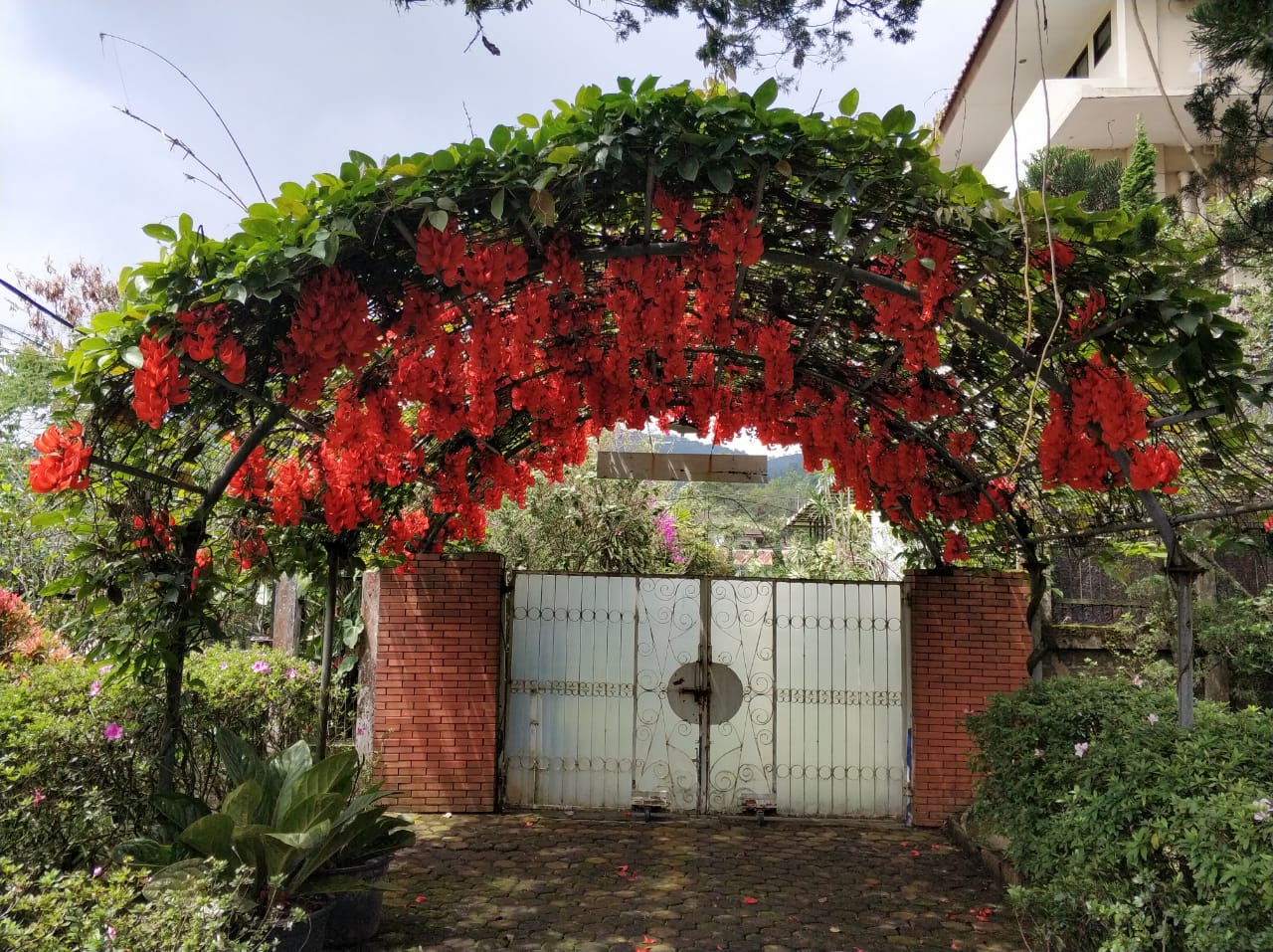 Dijual Villa di Jalan Ciloto, Cipanas,Cianjur,Puncak,Jawa Barat