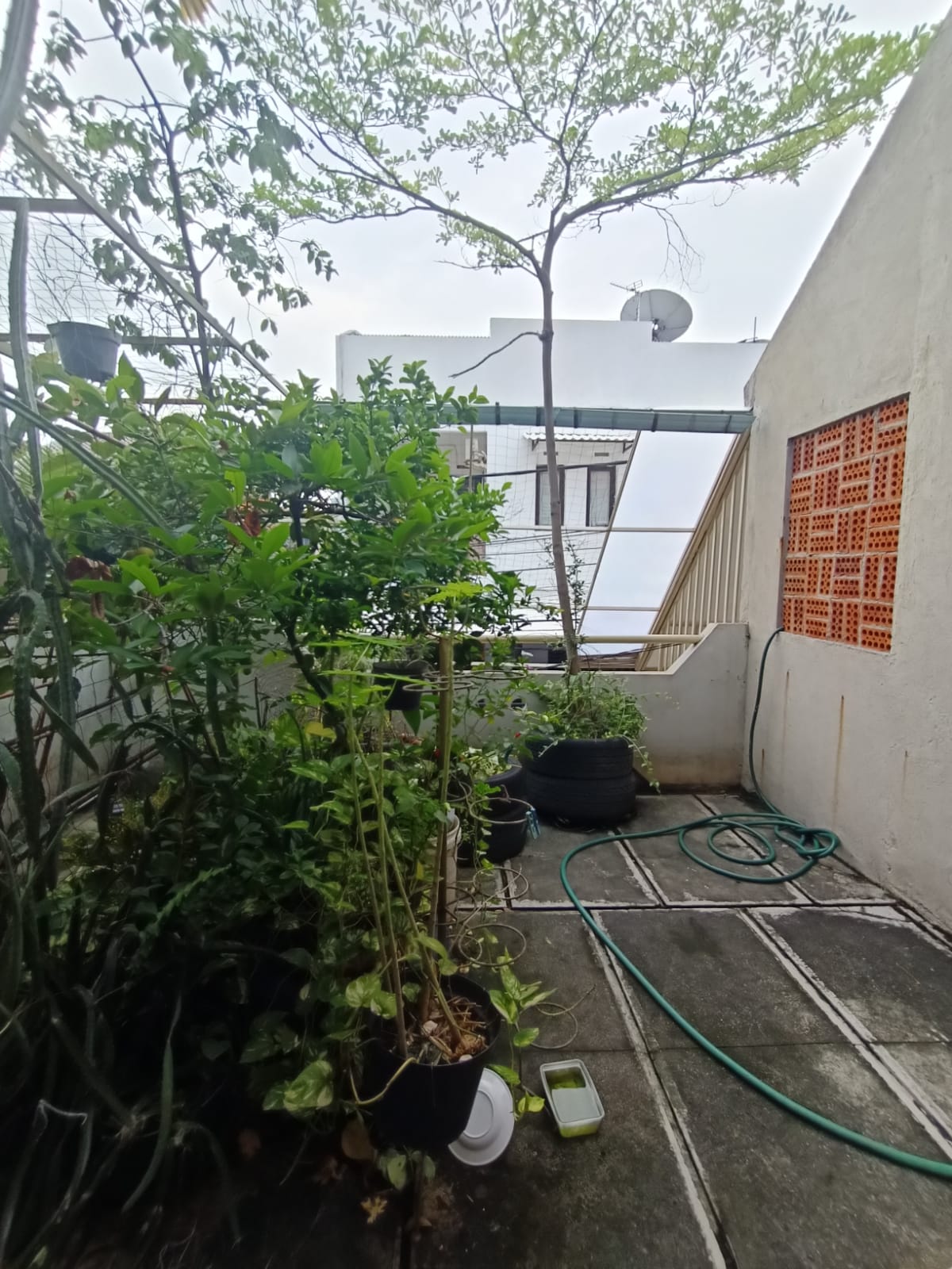 Jual rumah siap huni dan strategis di Kalibaru Timur V, Senen