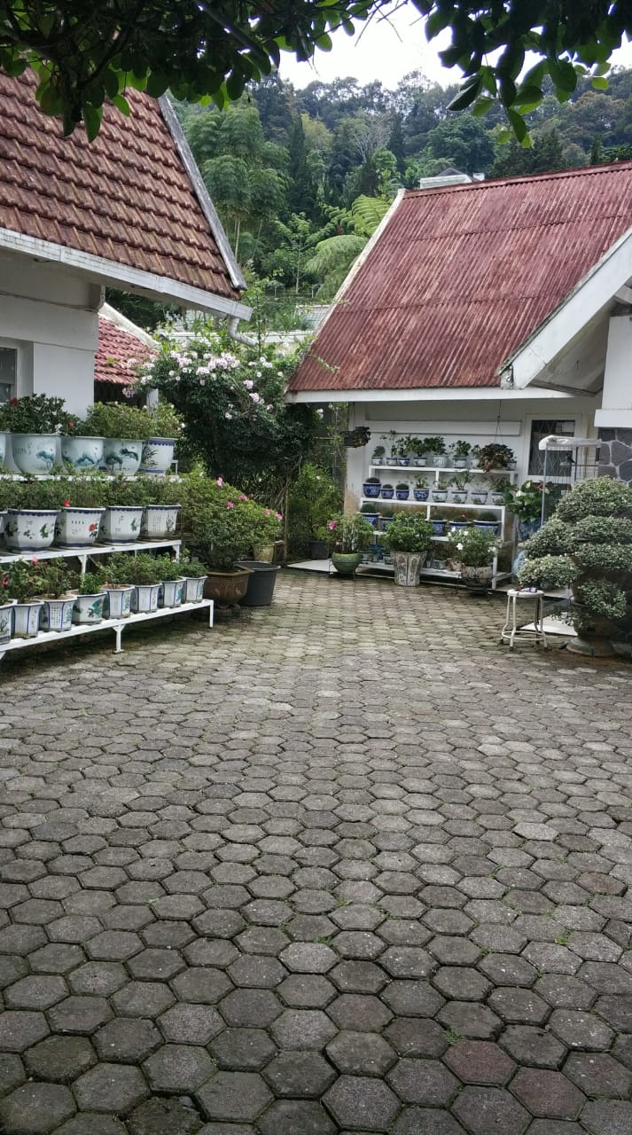 Dijual Villa di Jalan Ciloto, Cipanas,Cianjur,Puncak,Jawa Barat