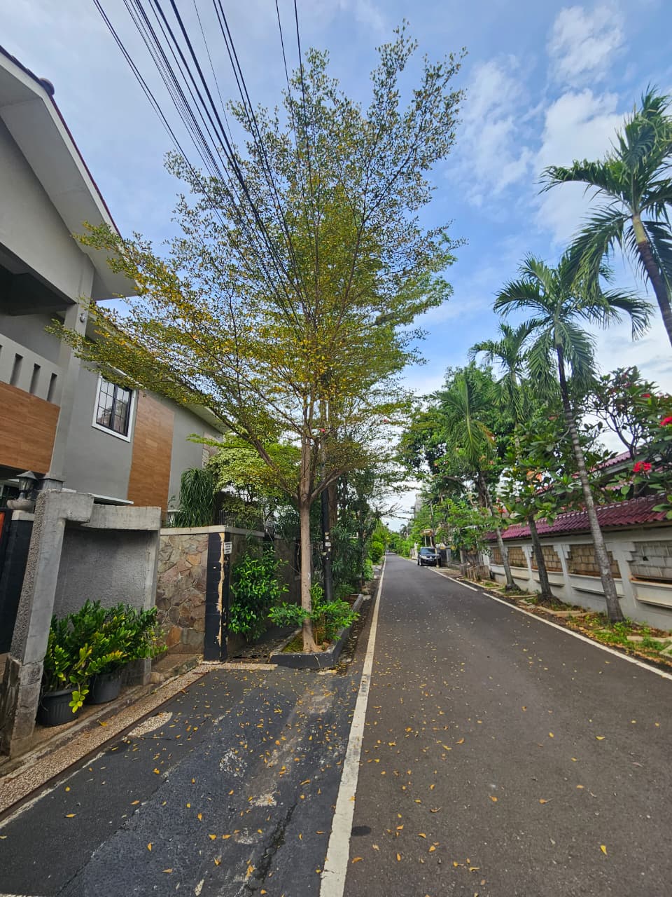 Jual rumah cantik komplek terbuka di Cempaka Putih Timur