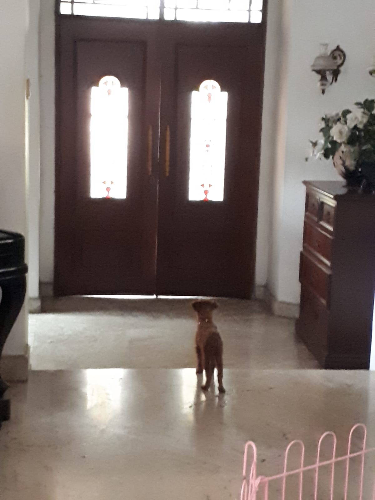 Jual rumah luas di Pondok Labu, Cilandak, Jakarta Selatan