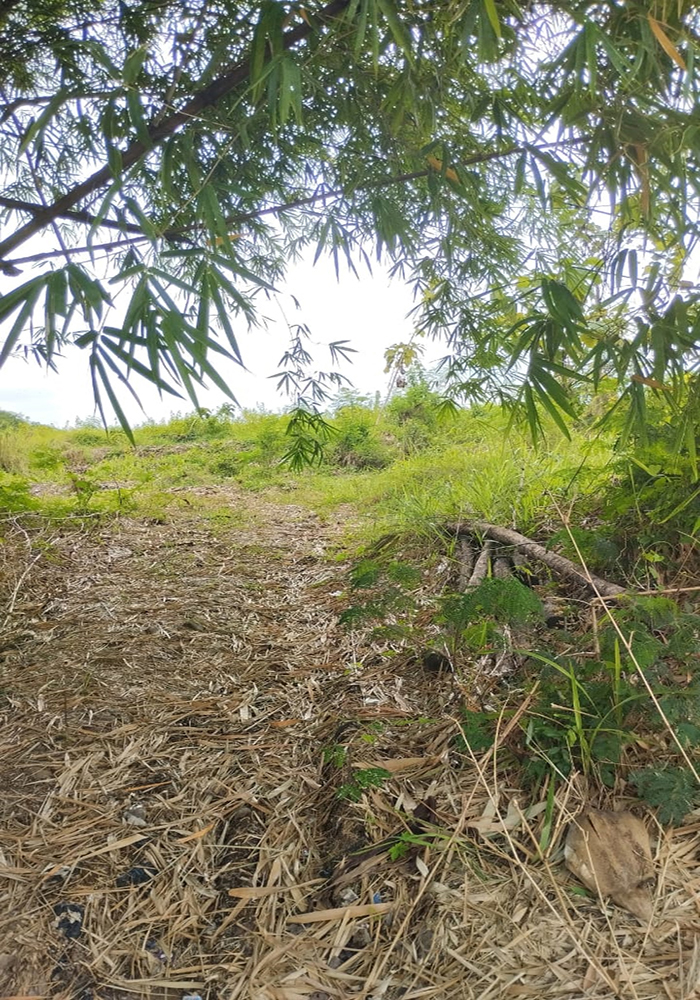 Tanah 7320 m2 SHM Muka 50 Meter di Jl. Raya Jatiwangi Majalengka