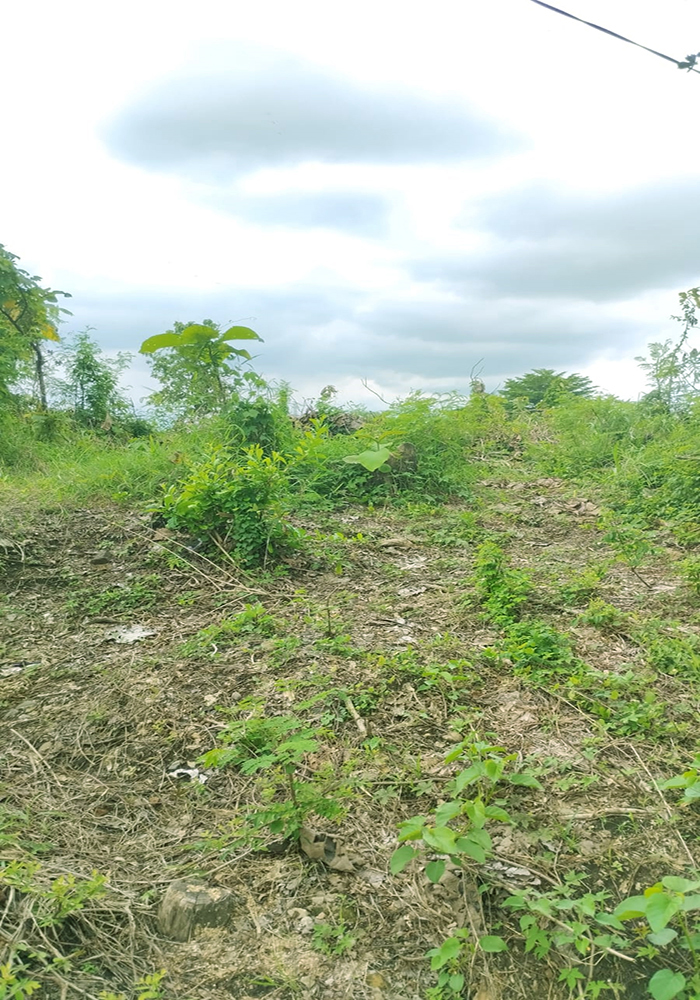 Tanah 7320 m2 SHM Muka 50 Meter di Jl. Raya Jatiwangi Majalengka