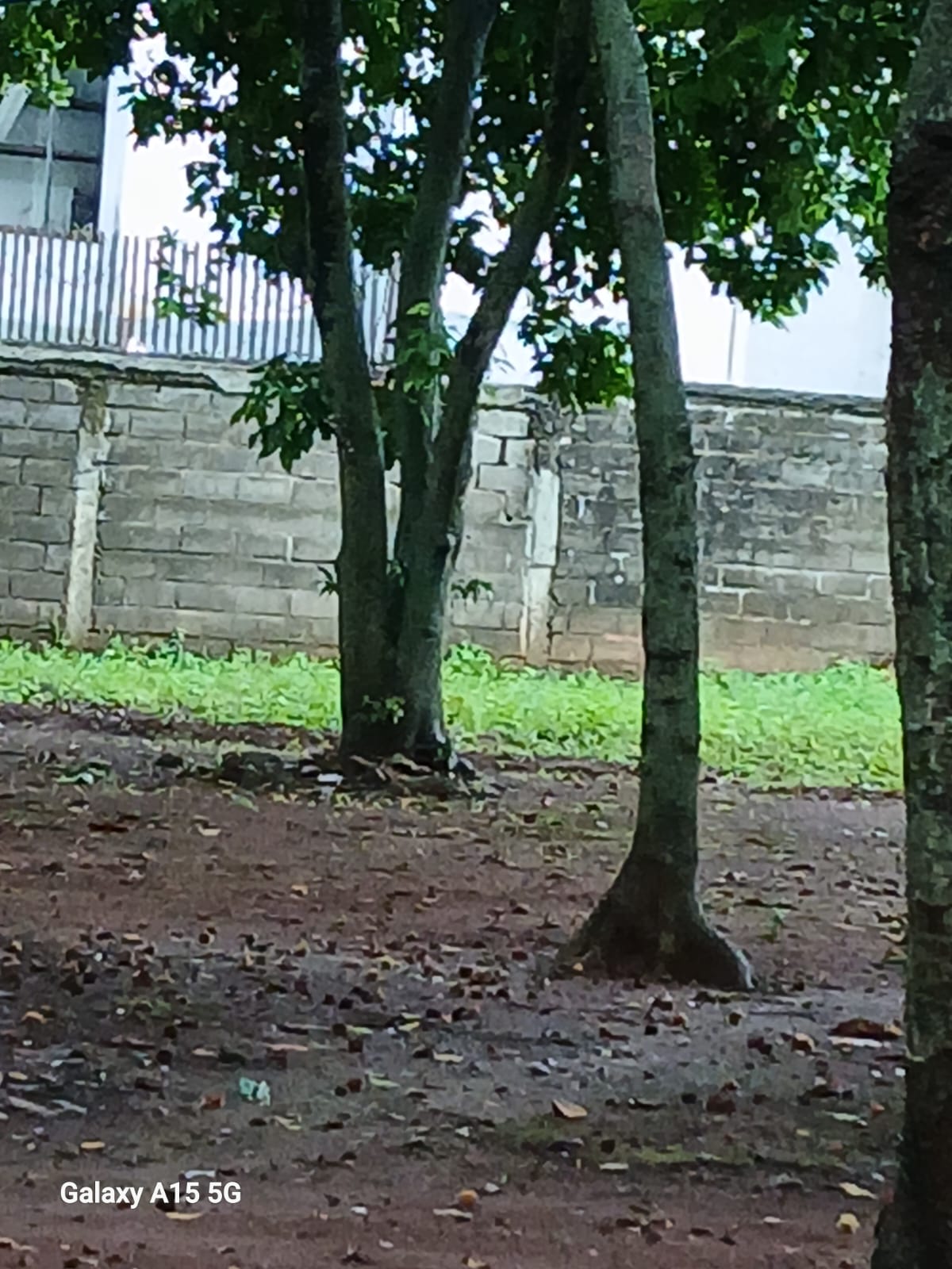 Jual tanah kosong luas siap bangun di Pagelarang, Setu, Cipayung