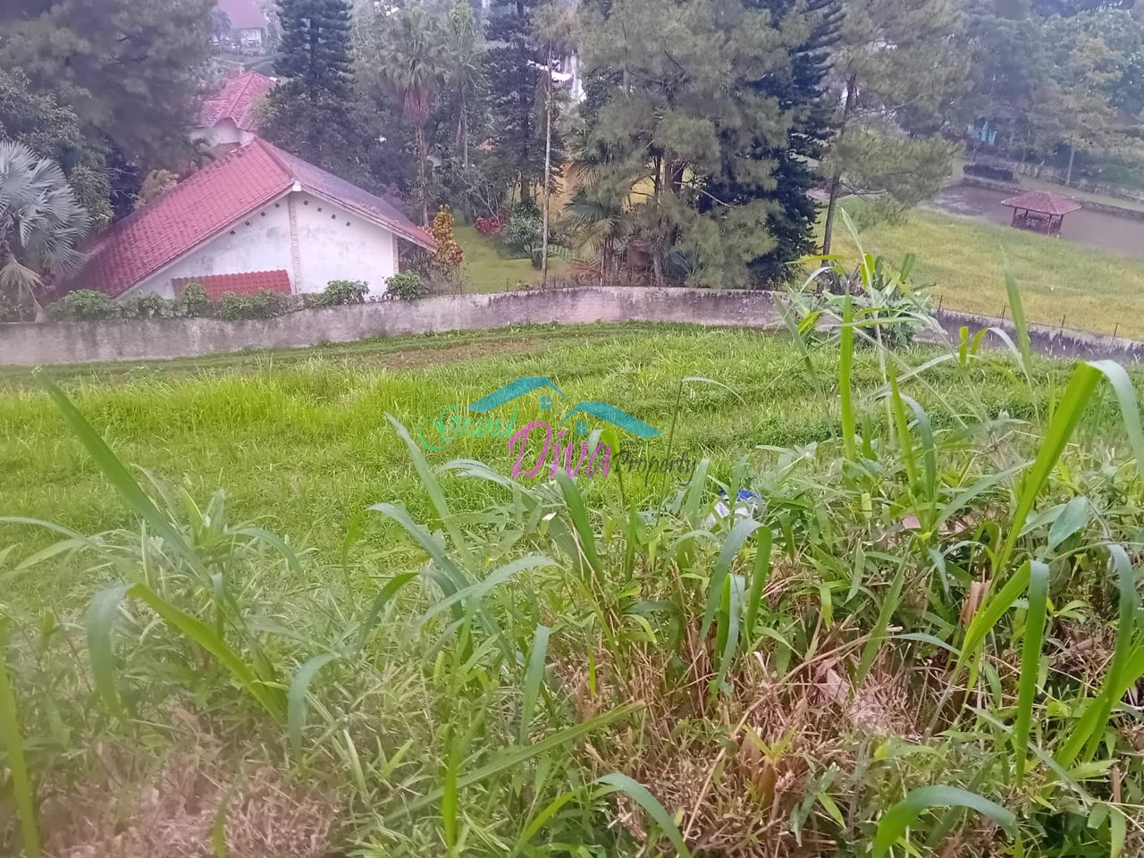 JUAL TANAH SAWAH DI CILEMBER CISARUA KABUPATEN BOGOR