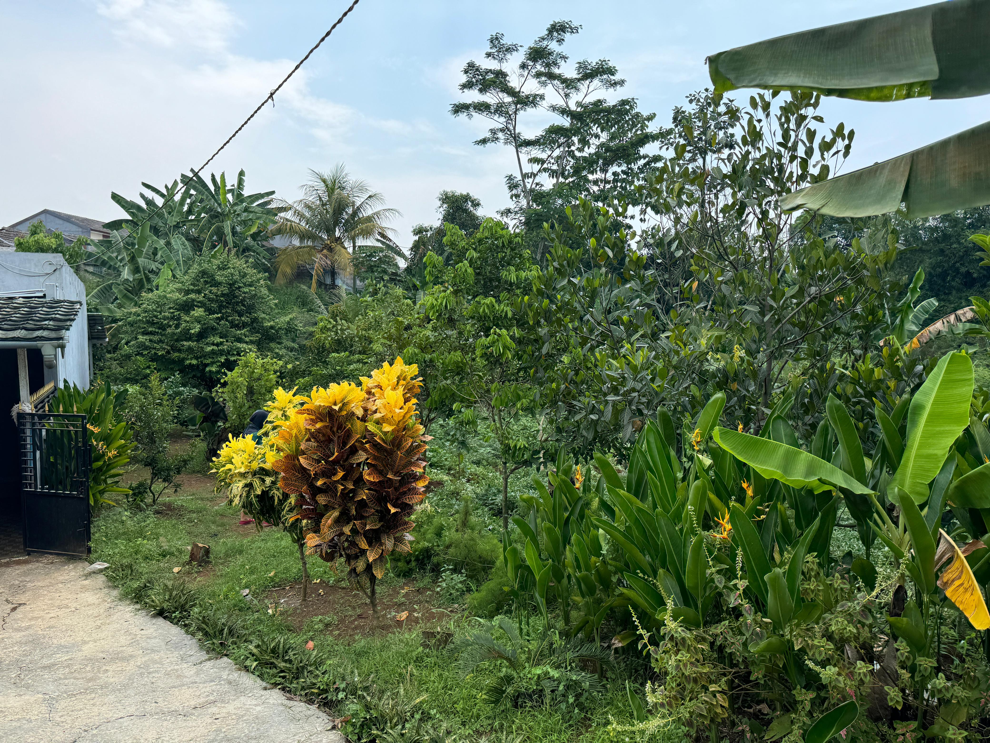 DIJUAL LAHAN DAN BANGUNAN PRODUKTIF