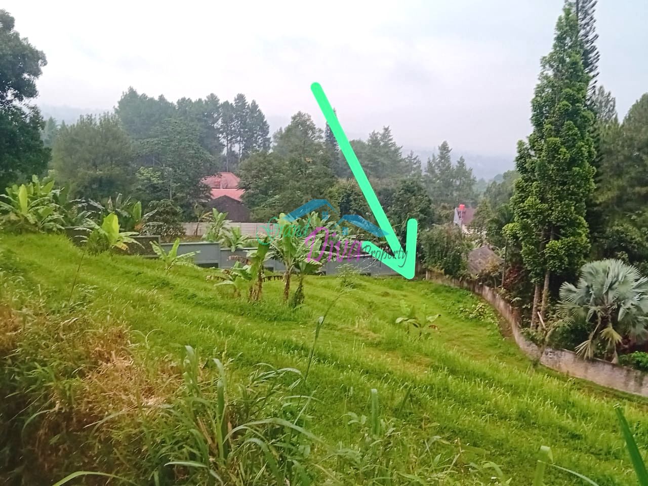 JUAL TANAH SAWAH DI CILEMBER CISARUA KABUPATEN BOGOR