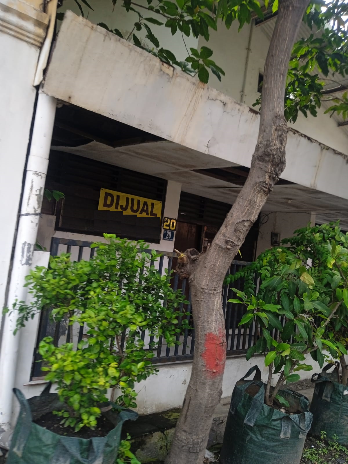 rumah dijual gubeng kertajaya surabaya