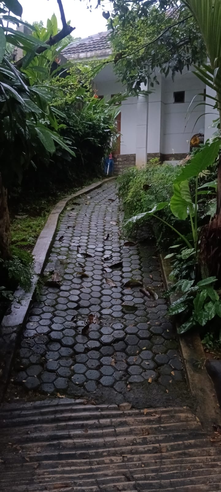 jual Rumah LT800/LB250 Jagakarsa, Jakarta selatan