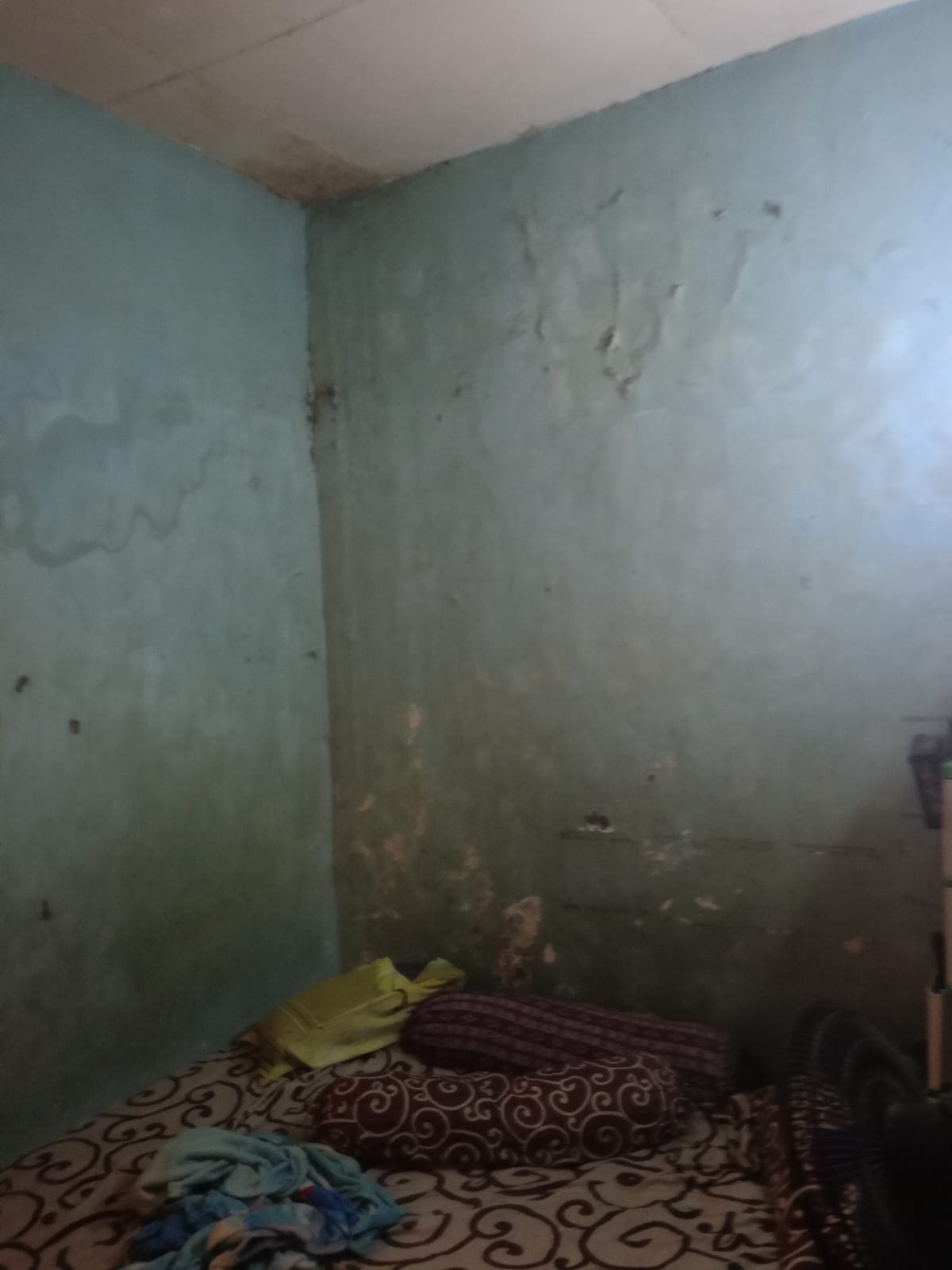 Rumah Dijual Harga di Bawah Pasaran Siap Huni!