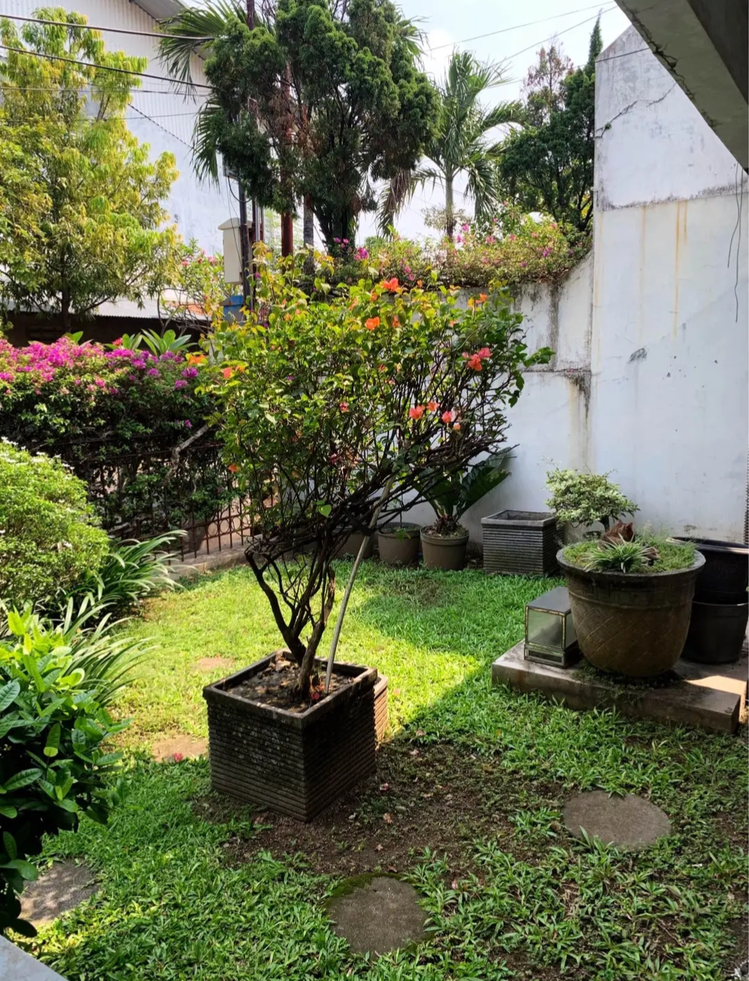 Jual Rumah 1 Lt SHM SIDOSERMO bagus dekat Plaza Marina