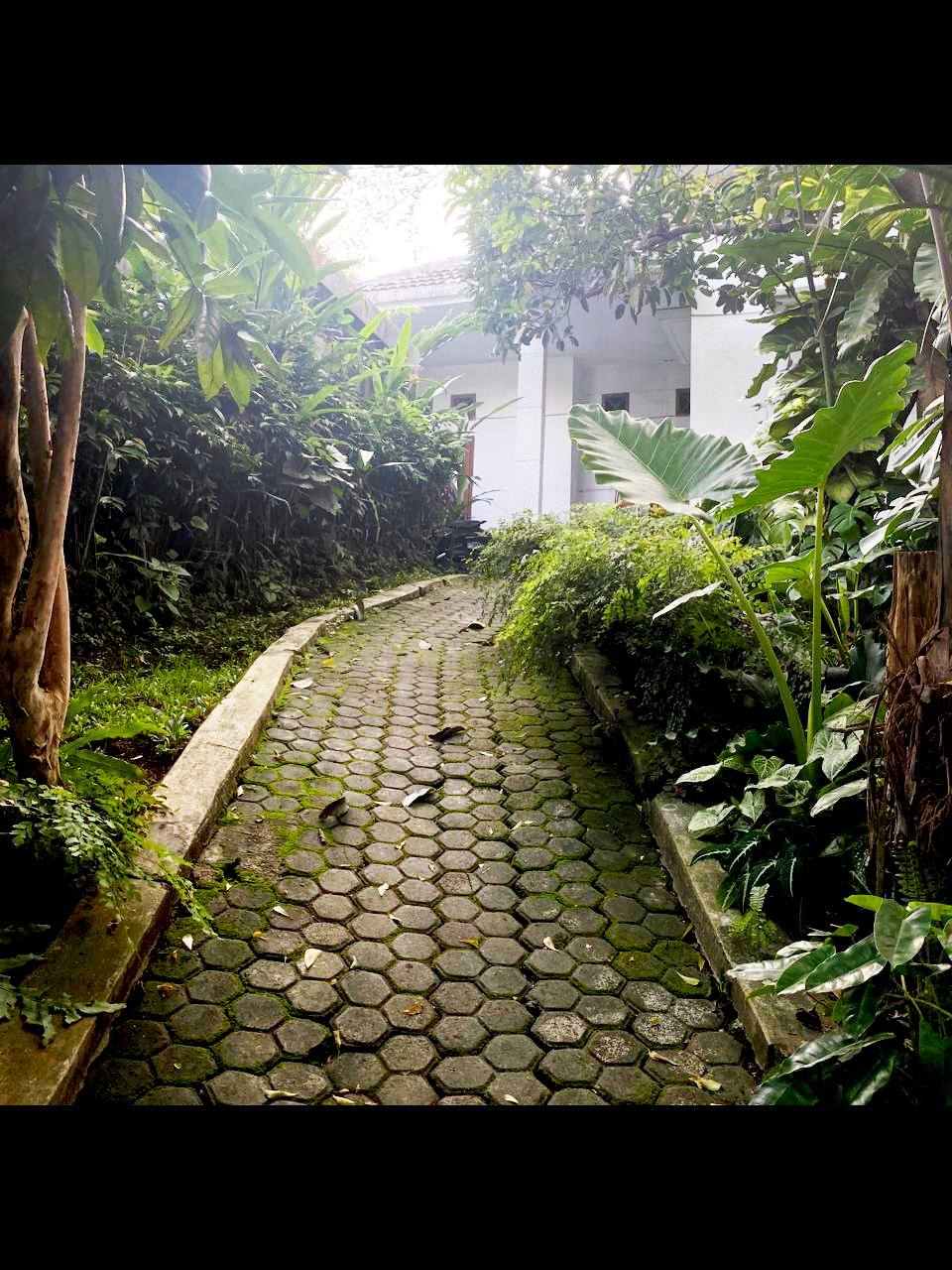 Jual rumah Bu murah 7jtaan per meter di Jagakarsa, Jak Sela