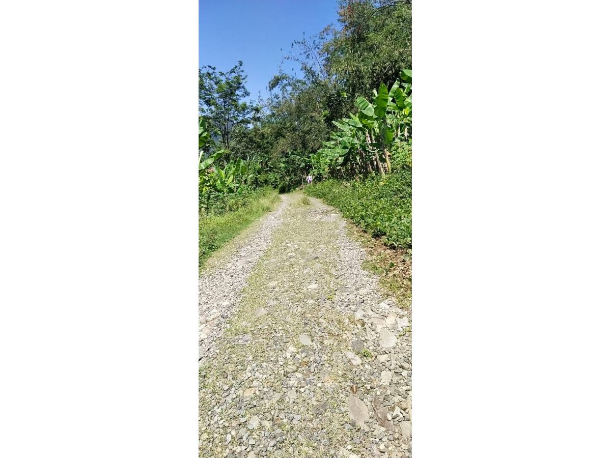 Dijual Tanah Luas 70 Hektar di Cariu, Kabupaten Bogor AG1930