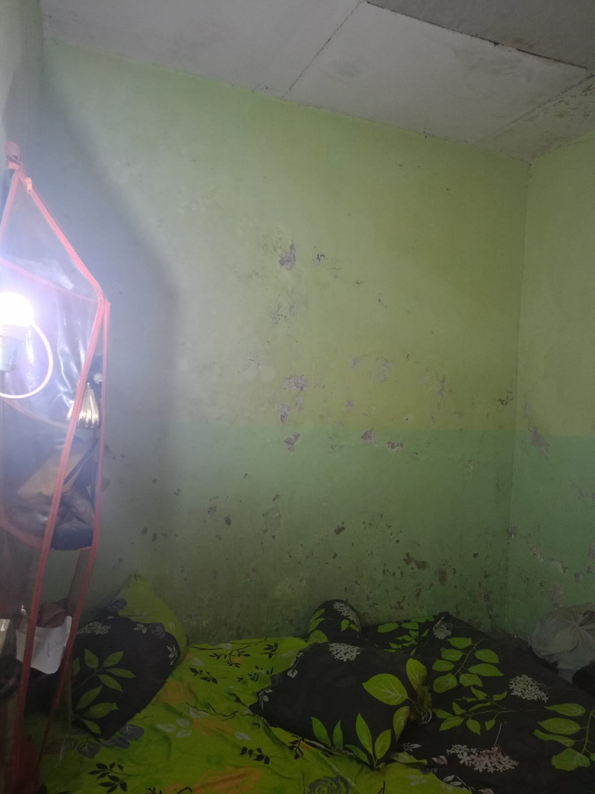 Rumah Dijual Harga Terjangkau, Lebih Murah dari Pasaran, Lokasi