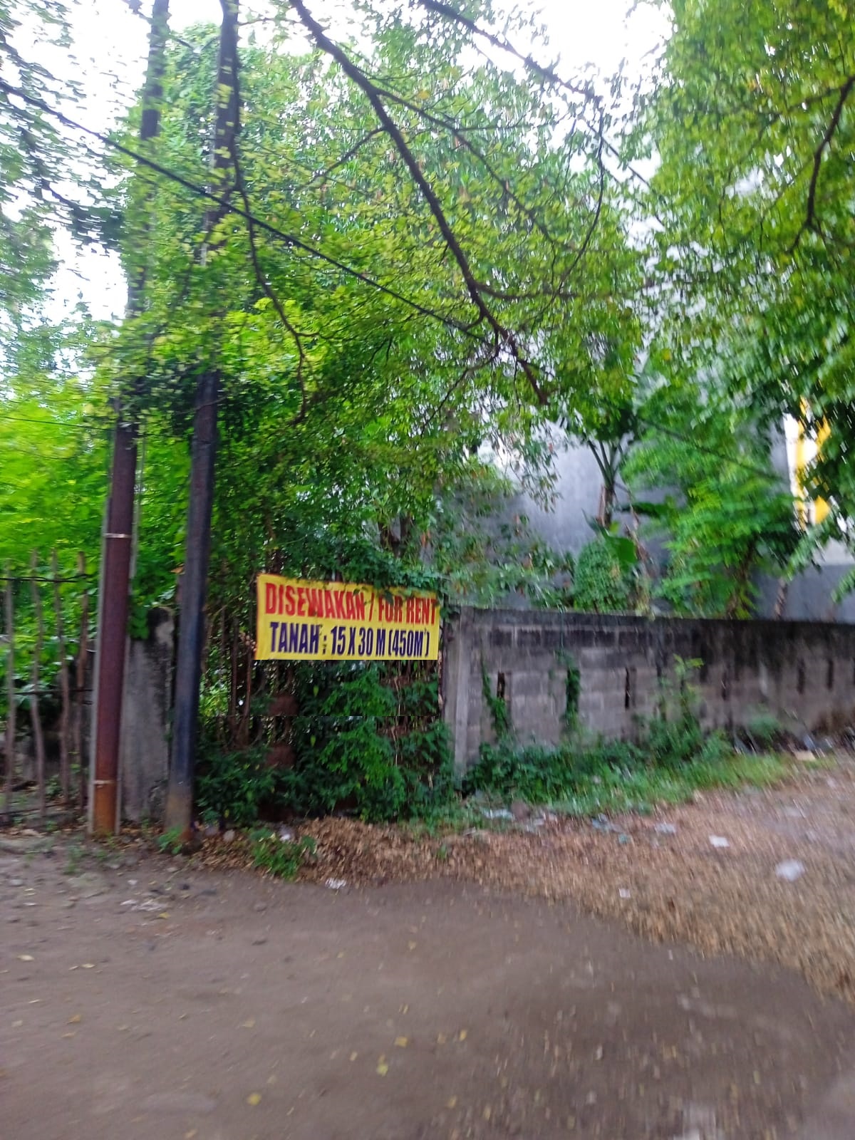 tanah disewakan gayung kebonsari surabaya